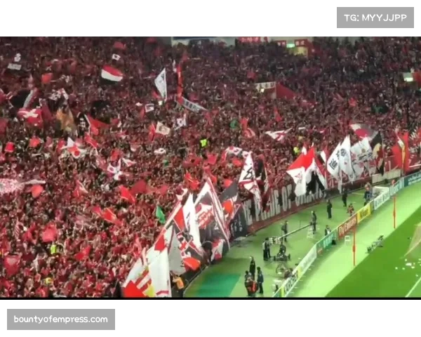 球迷文化逐渐成熟 亚冠客场远征军规模扩大 球迷文化逐渐成熟 亚冠客场远征军规模扩大